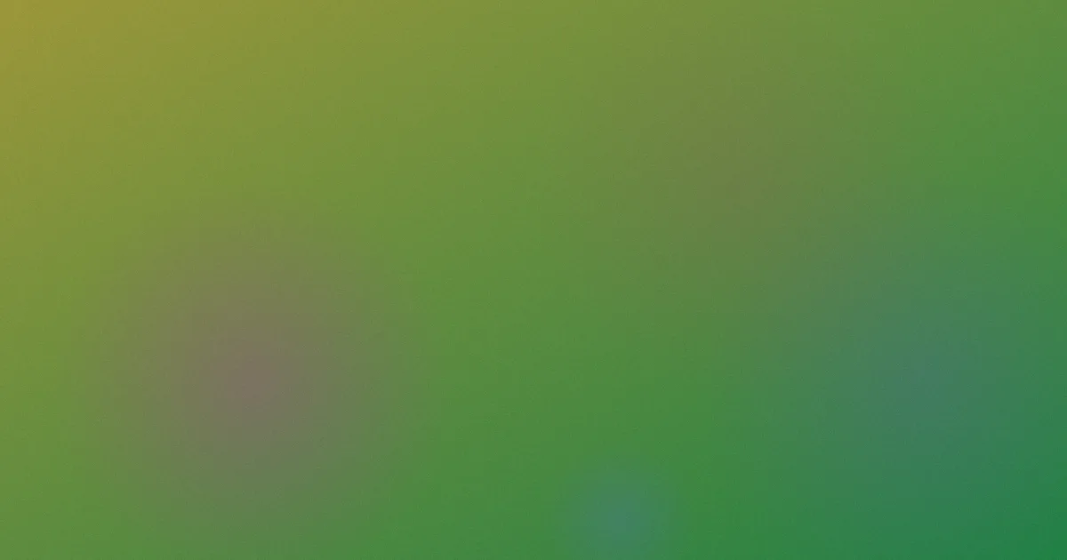 看一级黄色大片攻略：选择对比